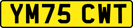 YM75CWT