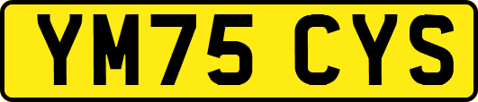 YM75CYS