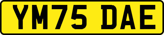YM75DAE