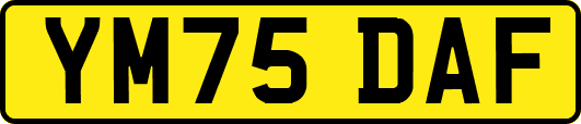 YM75DAF