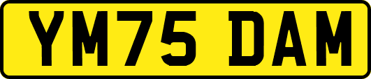 YM75DAM