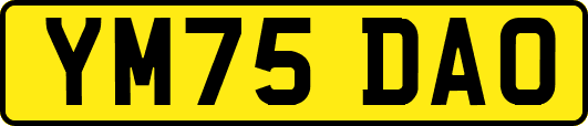 YM75DAO