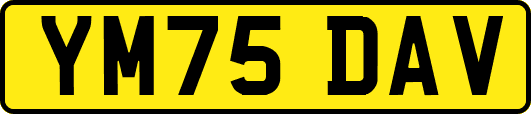 YM75DAV