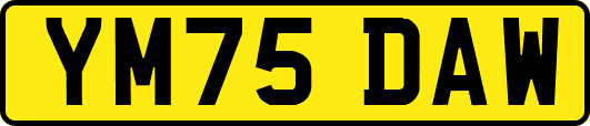 YM75DAW
