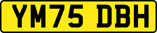YM75DBH