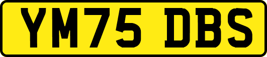 YM75DBS