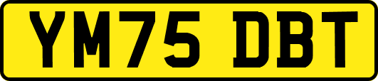 YM75DBT
