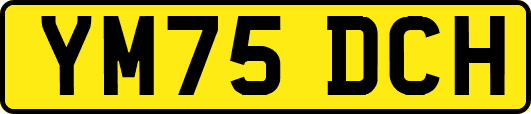YM75DCH