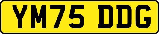 YM75DDG