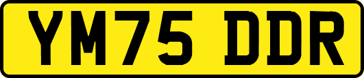 YM75DDR