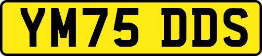 YM75DDS