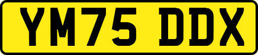 YM75DDX