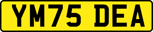 YM75DEA