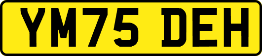YM75DEH