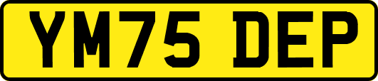 YM75DEP
