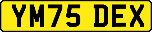 YM75DEX