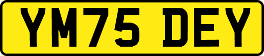 YM75DEY