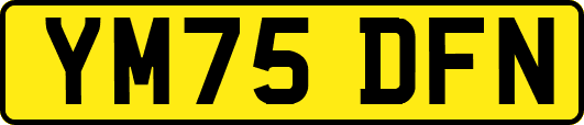 YM75DFN