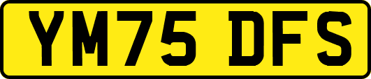 YM75DFS