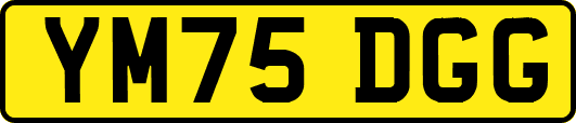 YM75DGG