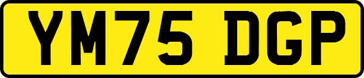 YM75DGP