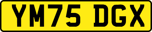 YM75DGX