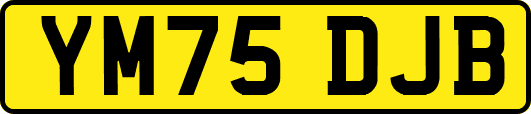 YM75DJB