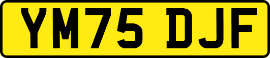 YM75DJF