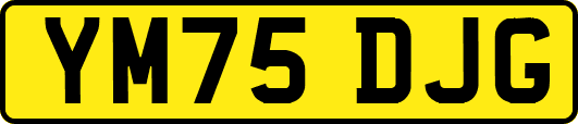 YM75DJG