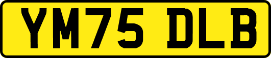 YM75DLB