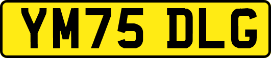 YM75DLG