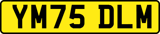 YM75DLM