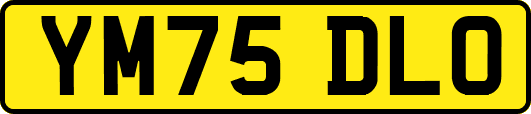 YM75DLO