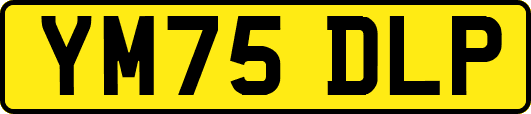 YM75DLP