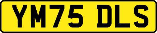 YM75DLS