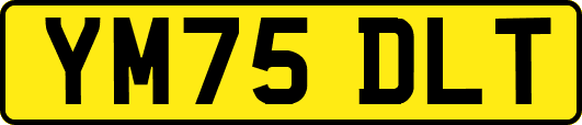 YM75DLT