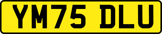YM75DLU