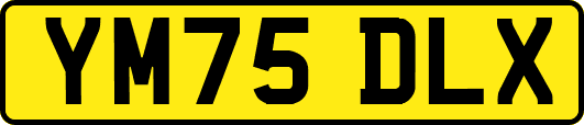 YM75DLX