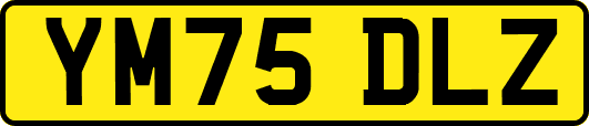 YM75DLZ