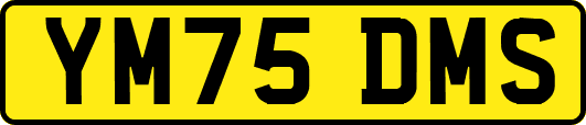 YM75DMS