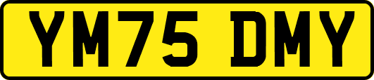 YM75DMY