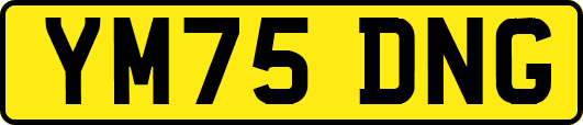YM75DNG