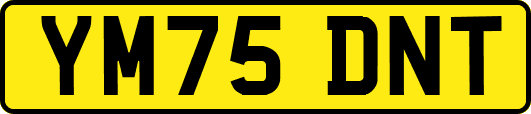 YM75DNT