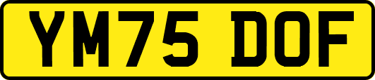 YM75DOF