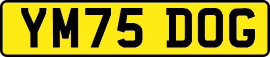 YM75DOG
