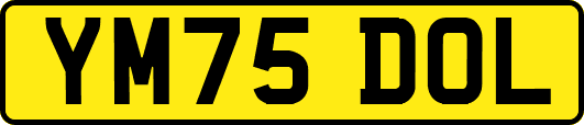 YM75DOL