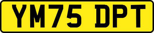 YM75DPT