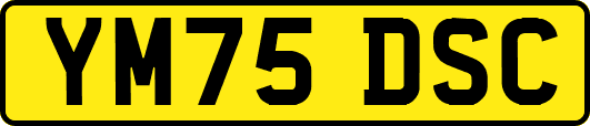 YM75DSC