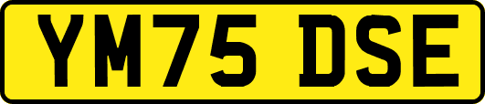 YM75DSE