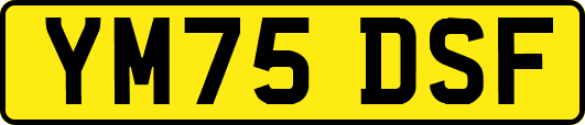 YM75DSF